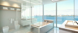 Frameless Shower Glass